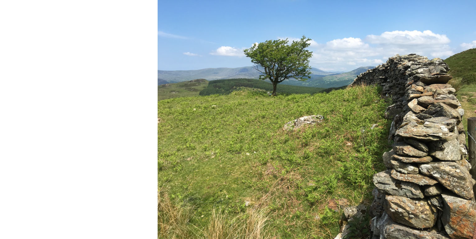 Website under construction